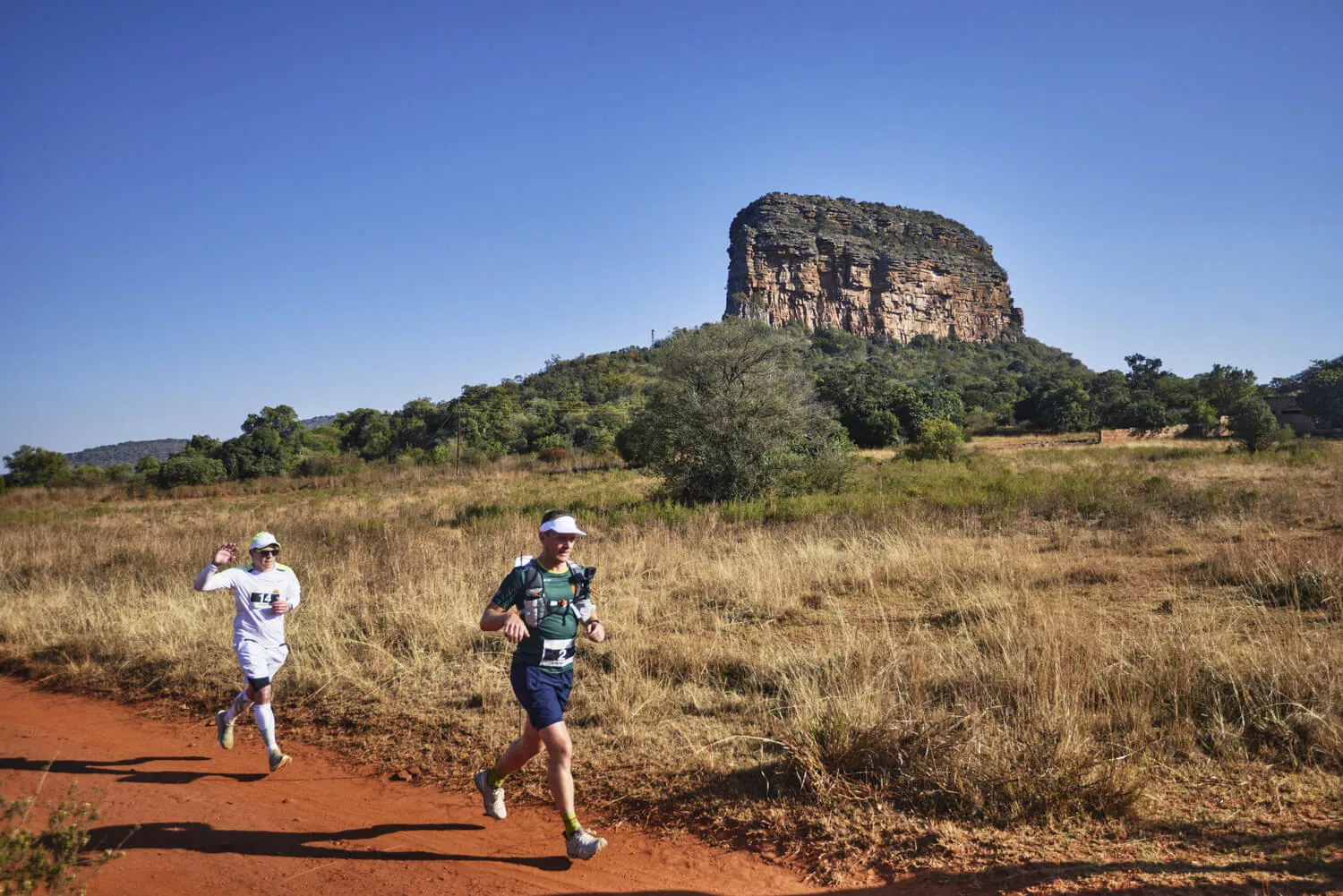 De Big Five Marathon: Een marathon tussen de wilde dieren