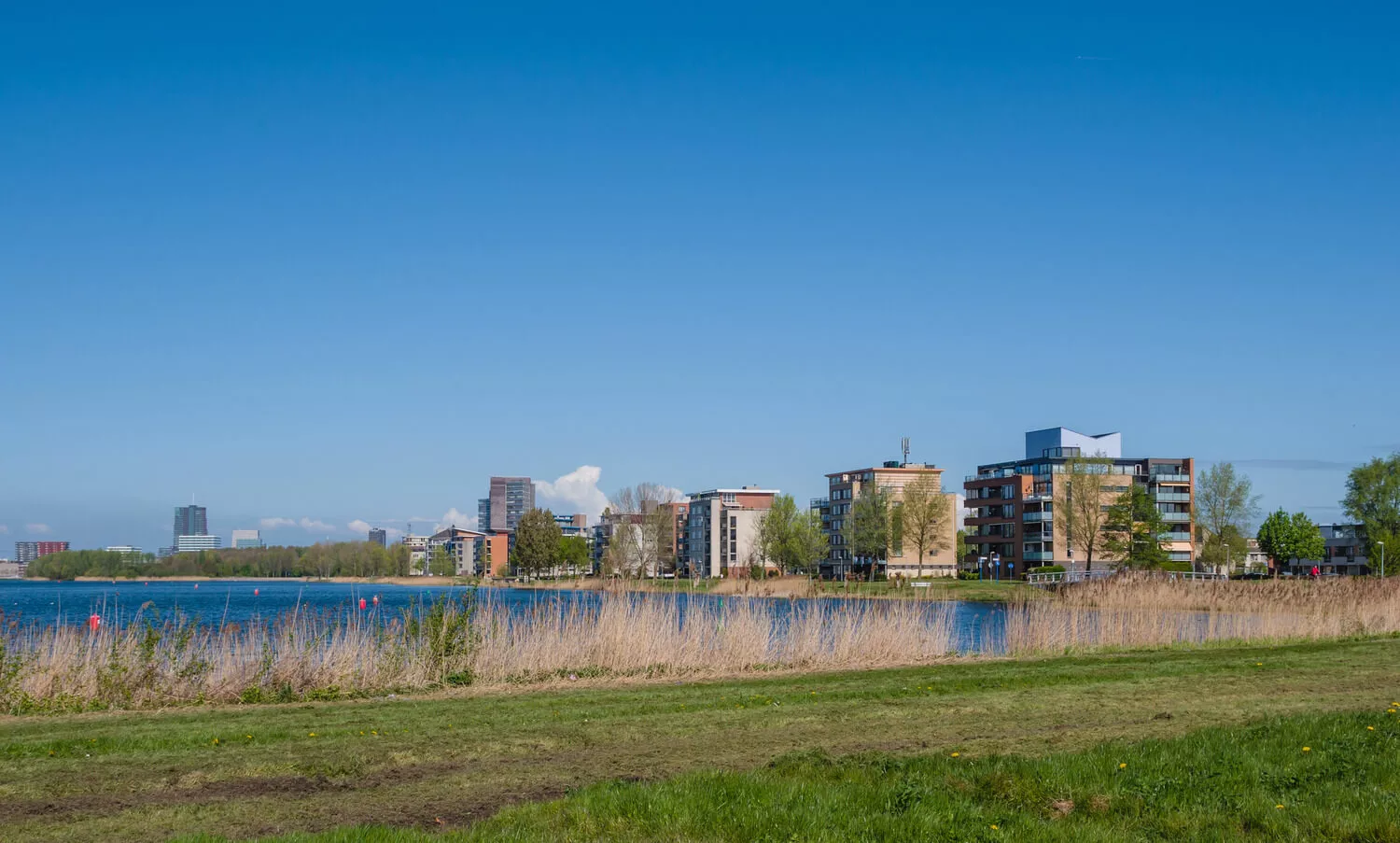 Hardloopkalender Almere: de mooiste events
