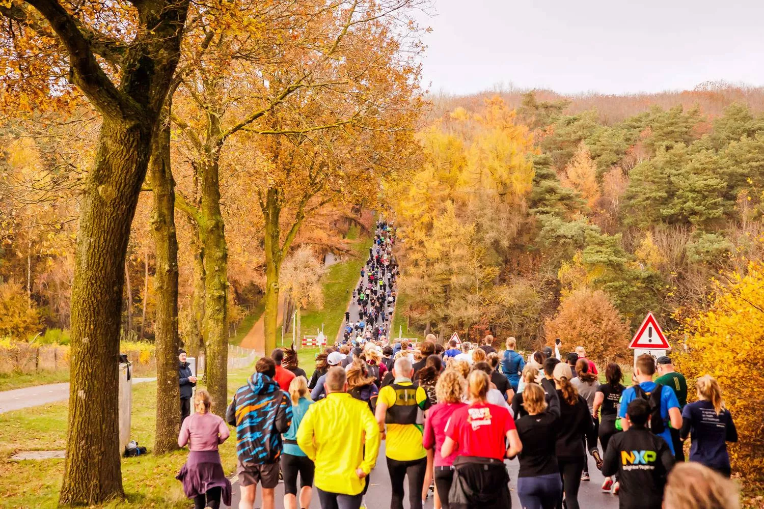 Garmin Zevenheuvelenloop 2026: jouw gids voor 15 november