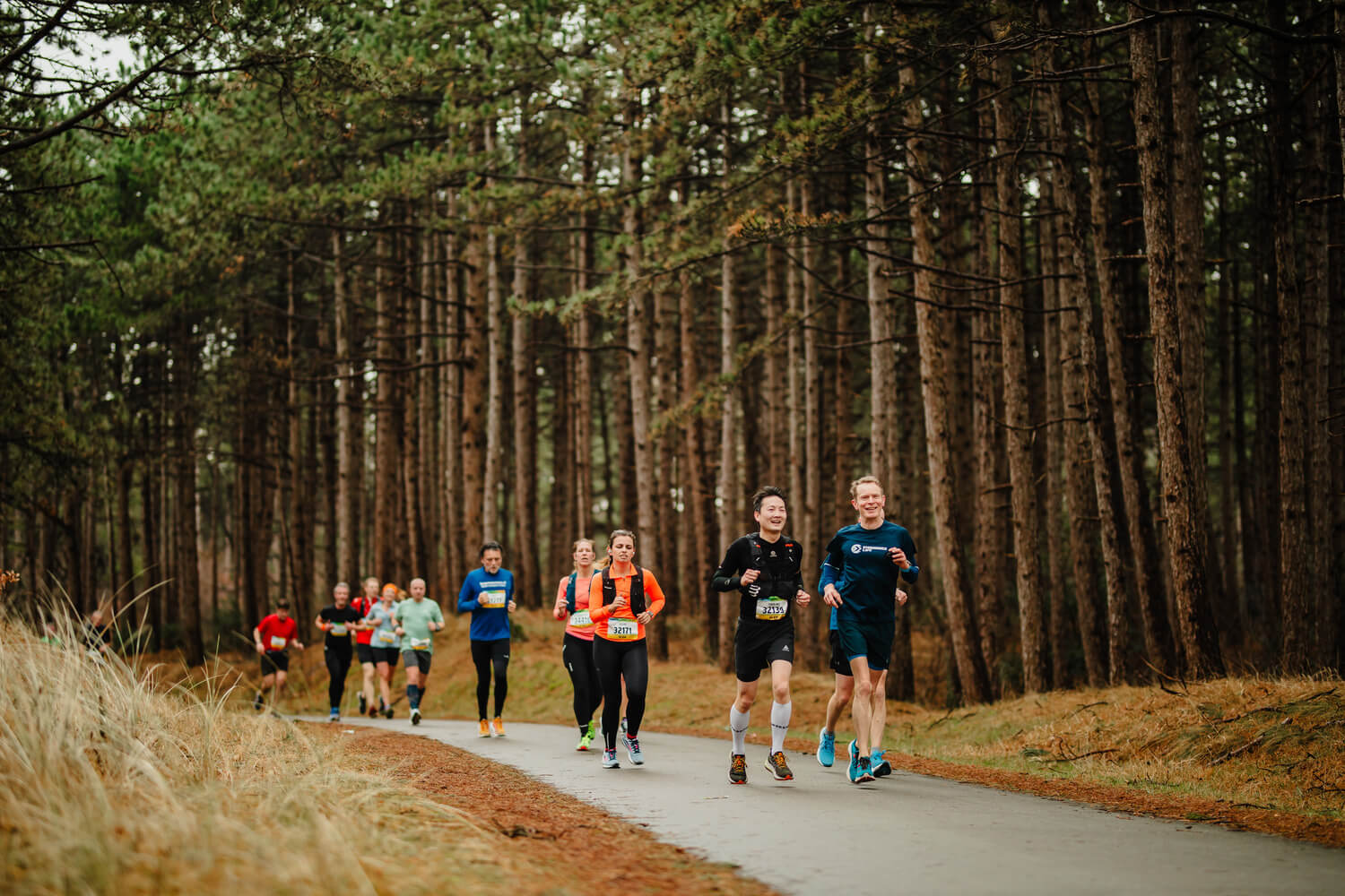 Groet uit Schoorl Run: hardlopen door het mooiste natuurgebied