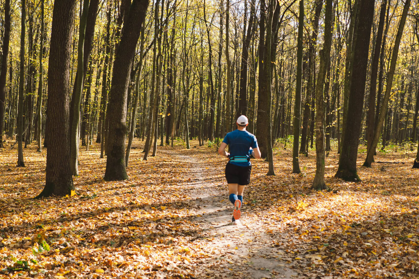 Geniet van de herfst met deze prachtige trailruns