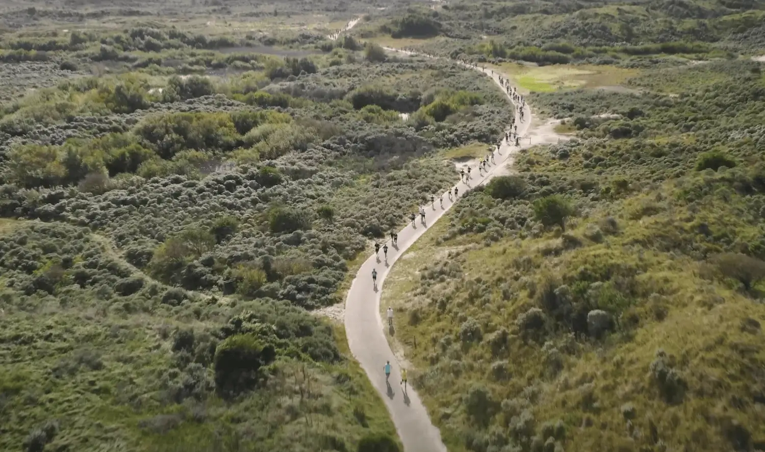 Halve van Haarlem 2025: hardlopen tussen stad en duin