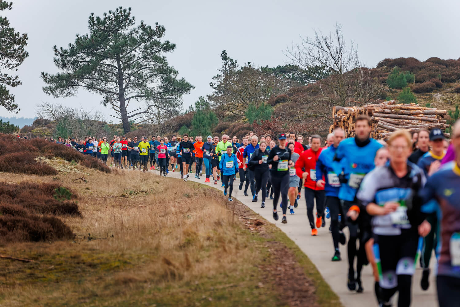 Hardloopkalender februari 2026: de mooiste runs van Schoorl tot Tilburg